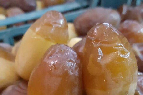 تصویر 5 از قیمت خرید خرما برحی امروز + فروش ویژه